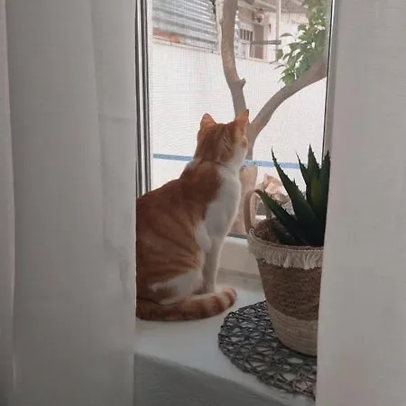 La Bella Casa *